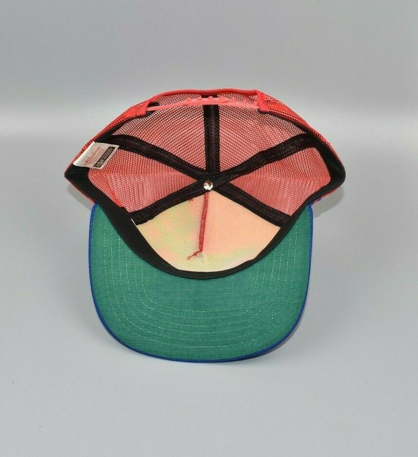 dolphins splash vintage cap