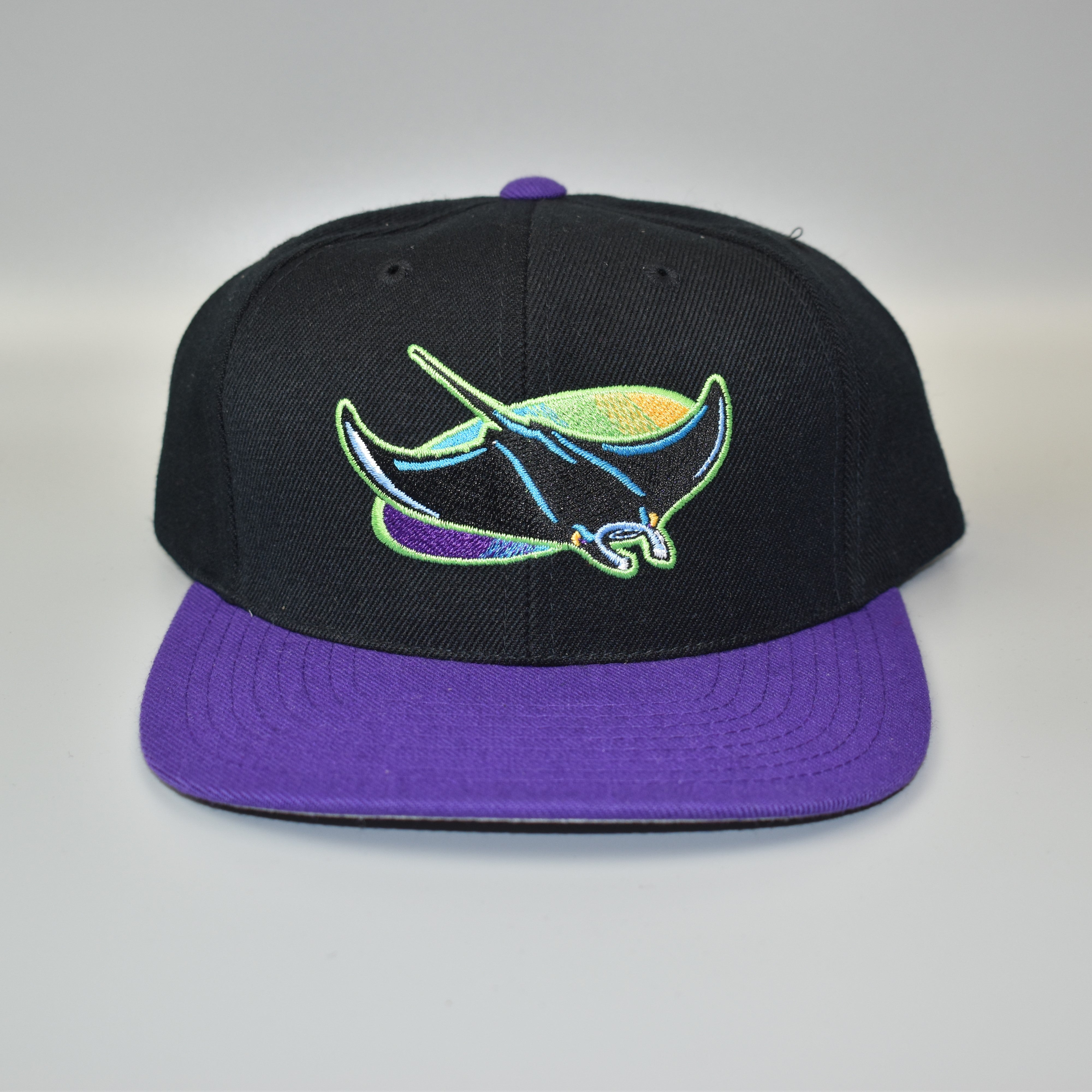 Tampa Bay Devil Rays Vintage 90's Twins Enterprise Wool Snapback Cap H –  thecapwizard