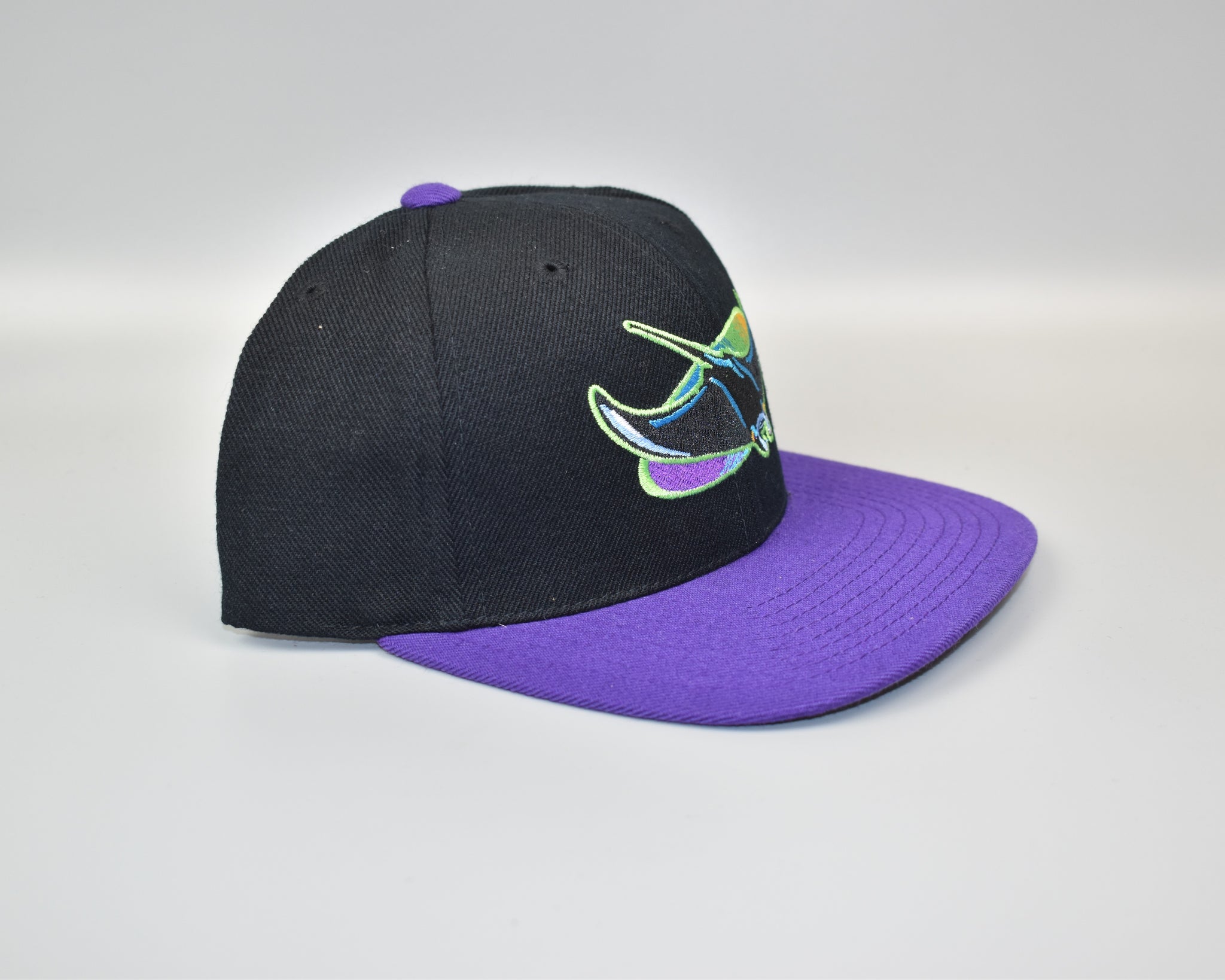 Tampa Bay Devil Rays Vintage 90's Twins Enterprise Wool Snapback Cap H –  thecapwizard