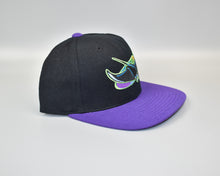 Load image into Gallery viewer, Tampa Bay Devil Rays Vintage 90&#39;s Twins Enterprise Wool Snapback Cap Hat - NWT
