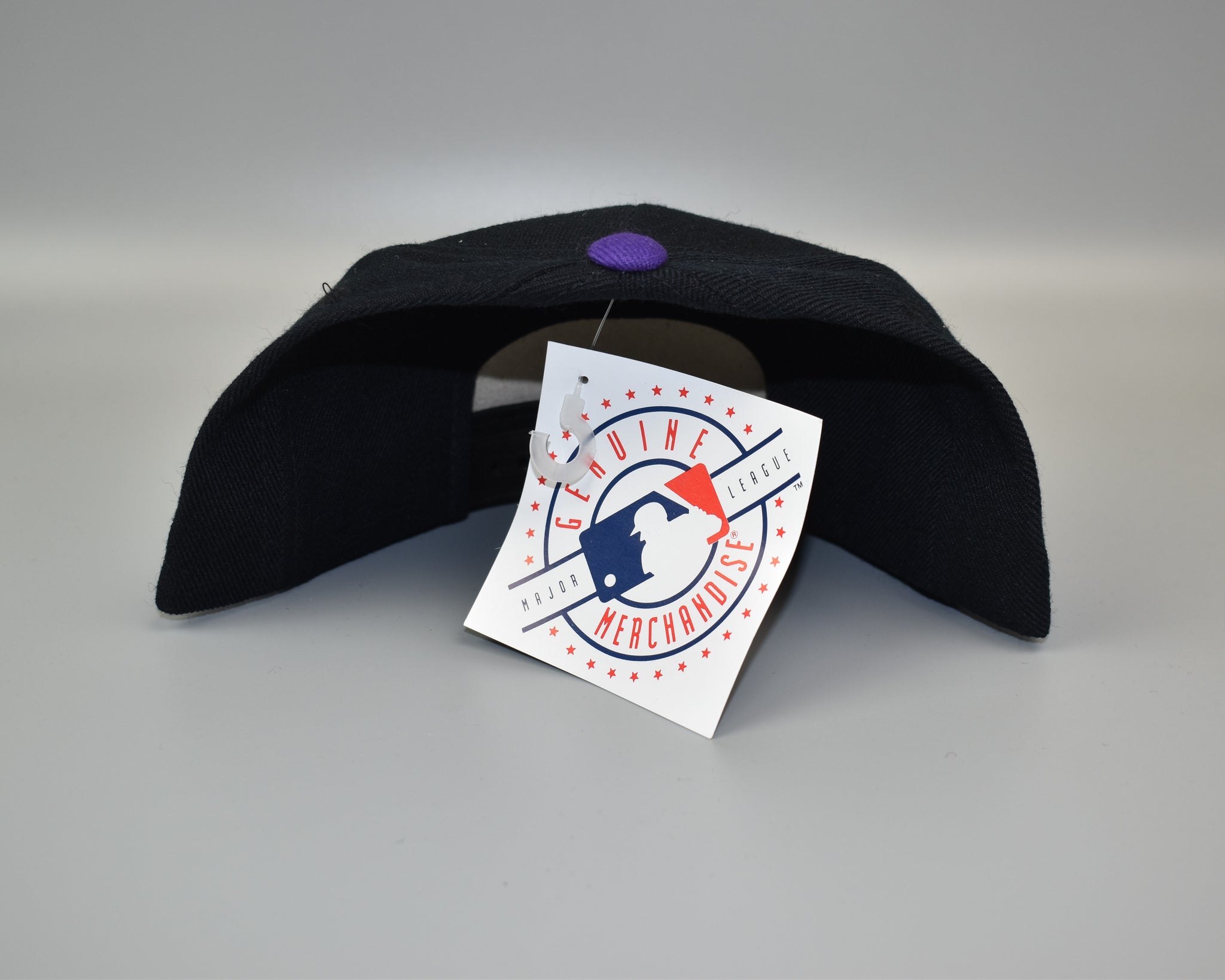 Tampa Bay Devil Rays Logo Athletic Vintage Wool Snapback Cap Hat - NWT