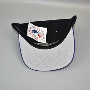 Tampa Bay Devil Rays Vintage 90's Twins Enterprise Wool Snapback Cap Hat - NWT