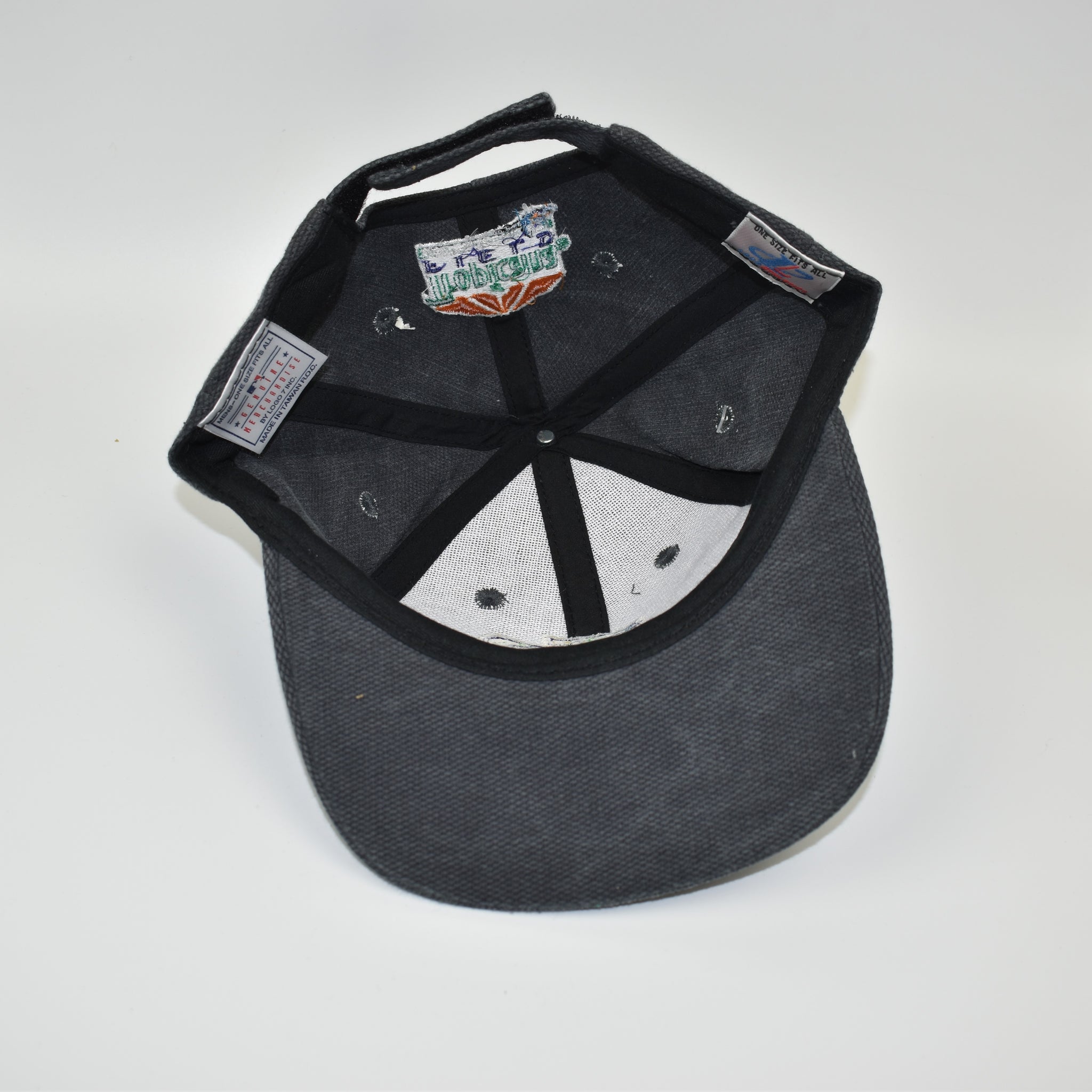 Vintage Tampa Bay Devil Rays Snapback Hat Logo Athletic OSFA