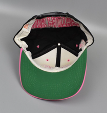 Load image into Gallery viewer, Pink Panther American Needle Toons Blockhead Vintage Snapback Cap Hat - NWT
