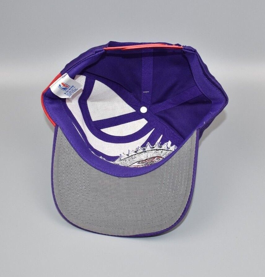 Toronto Raptors Twins Enterprise Swirl Vintage 90's Snapback Cap Hat - –  thecapwizard