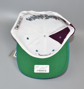 Anaheim Mighty Ducks Sports Specialties Back Script Vintage Snapback Cap Hat